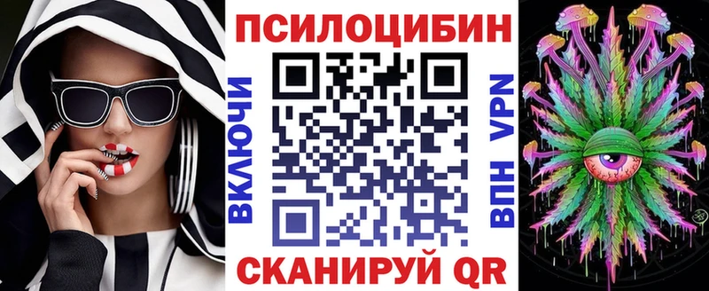 нарко площадка формула Тобольск Галлюциногенные грибы Psilocybe